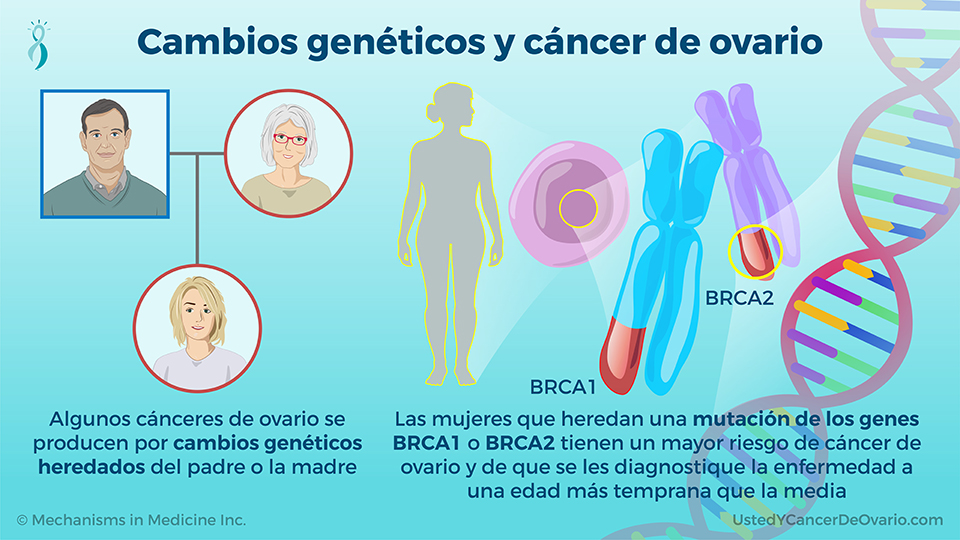 Cambios genéticos y cáncer de ovario